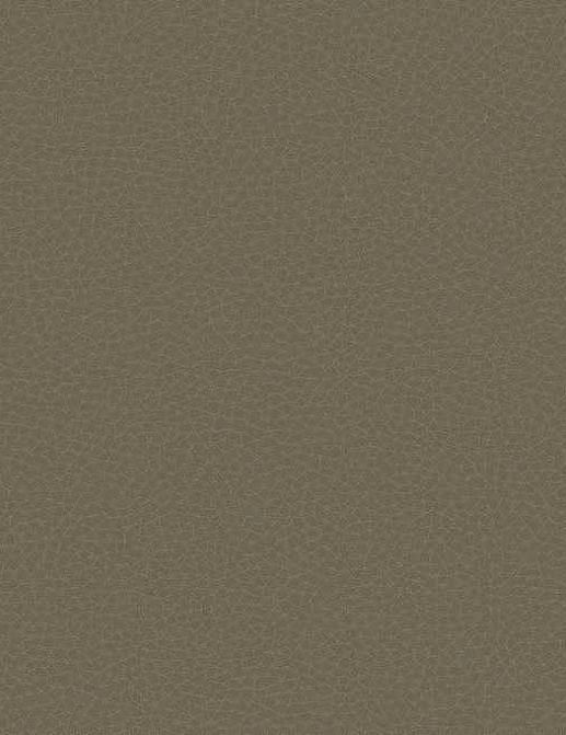Обои Carl Robinson Edition 17 - Loft CR83016