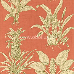 Обои Thibaut Toile Resource II T9800
