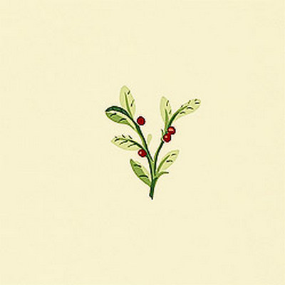 Обои Thibaut Small Print Resource II T5153