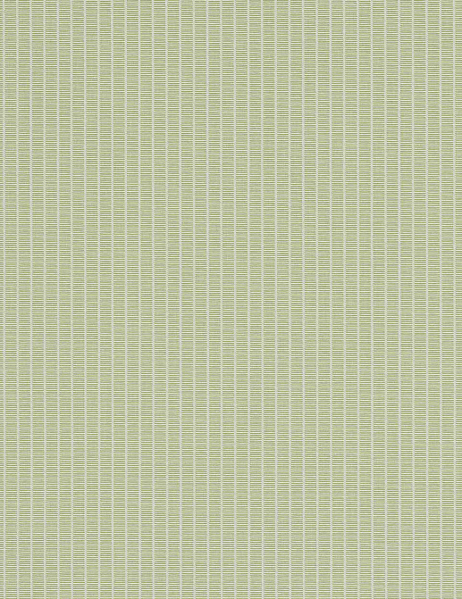 Ткань Manuel Canovas Domino M4169/06
