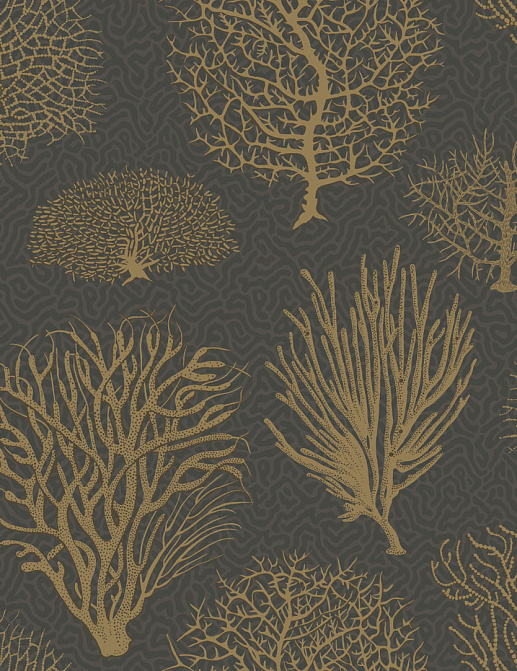 Обои Cole & Son Curio 107/2006