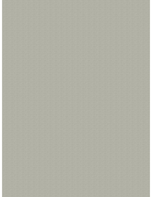 Ткань Fabricut Chromatics Vol.XXVI Ecru DuctileDiamond/PearlGrey