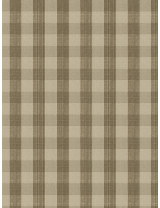 Ткань Stroheim Charles Faudree Biron Strie Check Biron strie check/Cafe