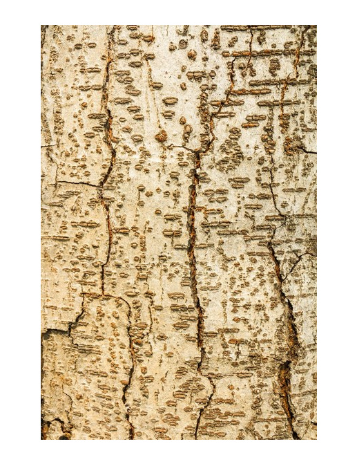 Панно и фотообои ID Wall NO.2 ID026002/2