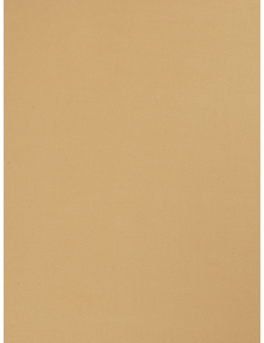 Ткань Trend Multipurpose Sleek Satin Vol.II 02022/Raffia