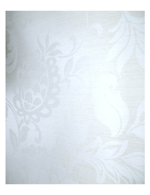 Обои Today Interiors Jeunesse JW5304