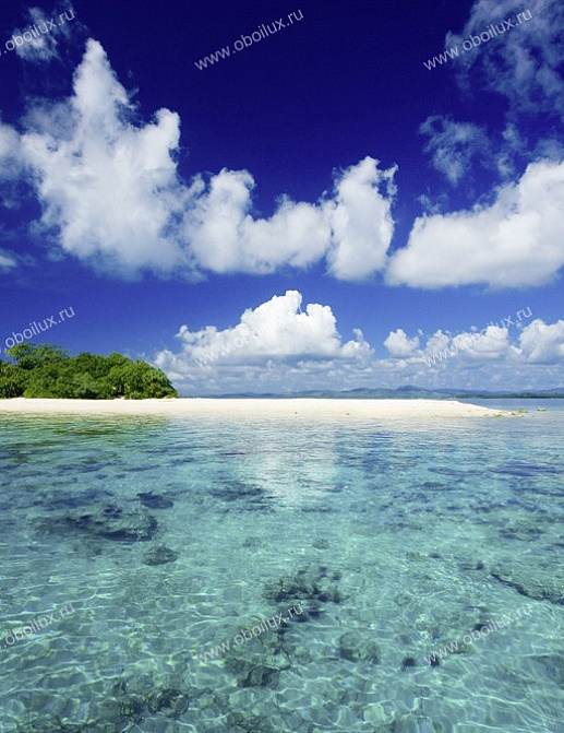 Панно и фотообои A. S. Creation XXL II 330 South Sea Island 