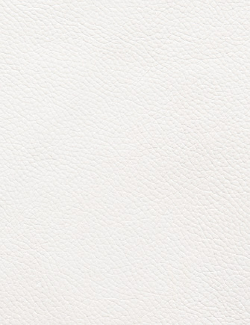 Ткань Holly Hunt Holly Hunt Leather 6013/41