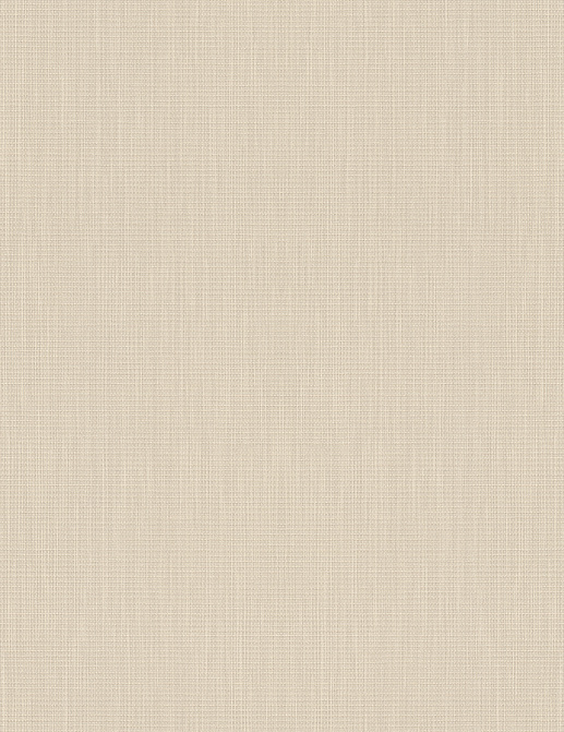 Обои Rasch Barbara Home Collection 527261
