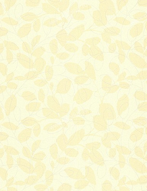 Обои York Carey Lind - Organic Finishes ZV6841W