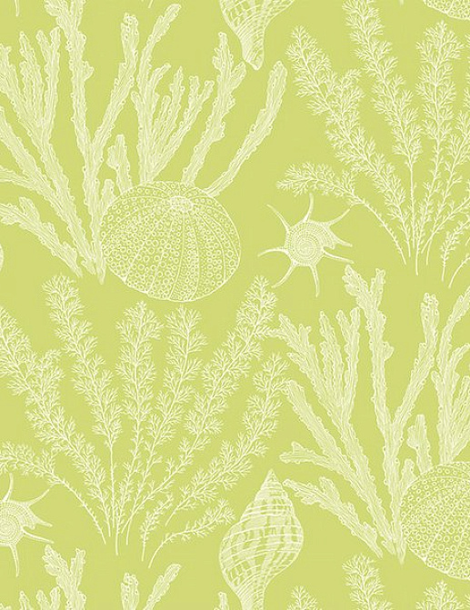 Обои Paper & Ink Coastal Chic CO11814