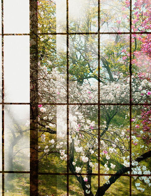 Панно и фотообои A. S. Creation Living Walls - Walls by Patel 2 DD113730