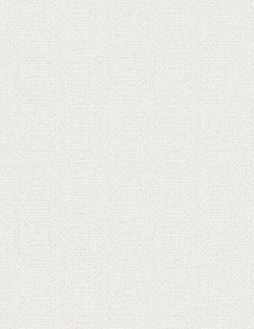Обои Galerie Designer Colours DC30021