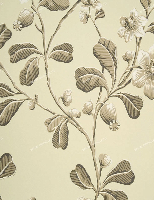 Обои Little Greene London Wallpapers 0277BRAPPLE