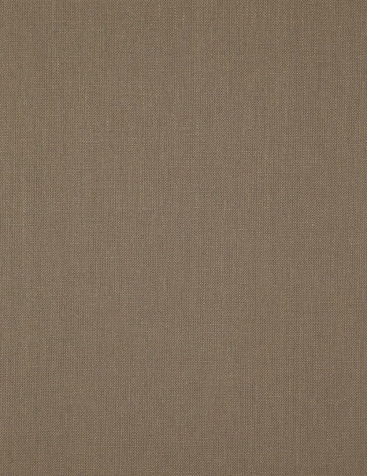 Ткань Daylight Canvas Canvas/Mushroom