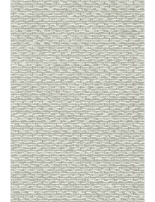 Обои Cole & Son Contemporary Selection 92/9041