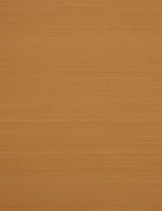 Обои Braquenie Shiva BP334022