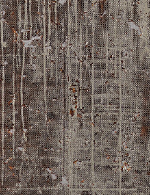 Обои Innovations Collection Pietra PIE-100 PANDANG