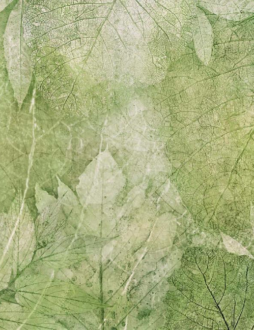 Панно и фотообои Affresco New Art RE204 COL4