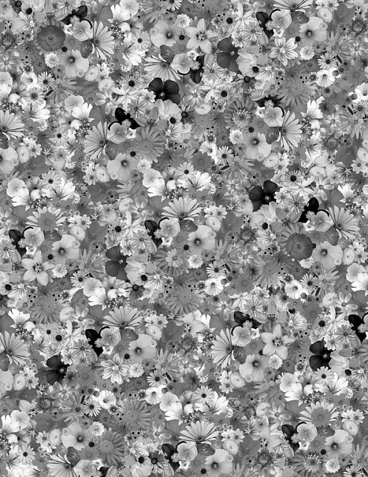 Панно и фотообои Mr Perswall Nostalgic P161401-7