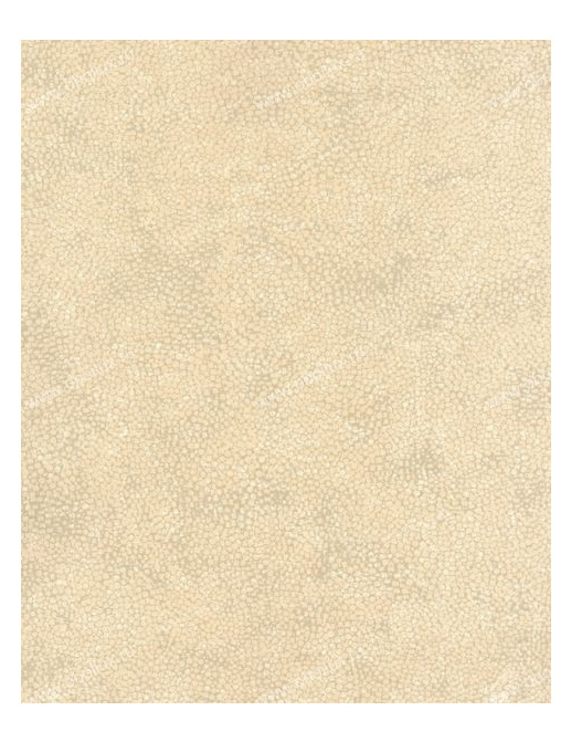 Обои Osborne & Little Wallpaper Album IV WSH01