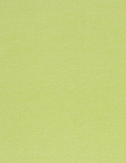 Ткань Designers Guild Cara FT1976/19
