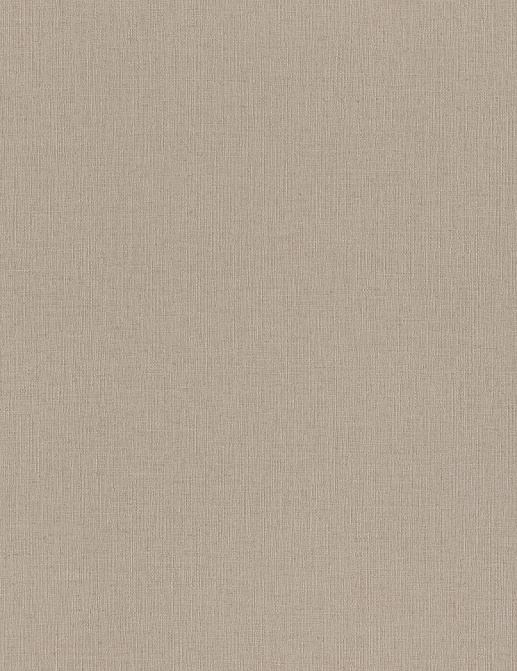 Обои Rasch Wall Textures XL Vol3 975567