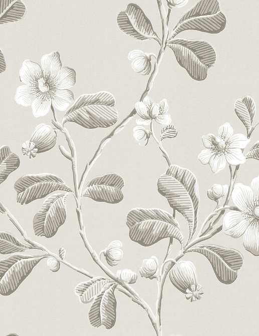Обои Little Greene London Wallpapers IV 0251BRPITCH
