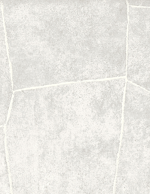 Обои Jannelli & Volpi JV 104 Lithos 7634