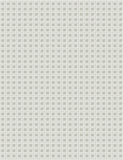Обои Paper & Ink Natural Silhouettes NS51208