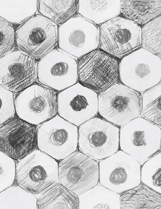 Панно и фотообои Tecnografica Collection 2018 58359-3