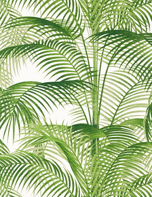 Обои Thibaut Palm Grove T13938