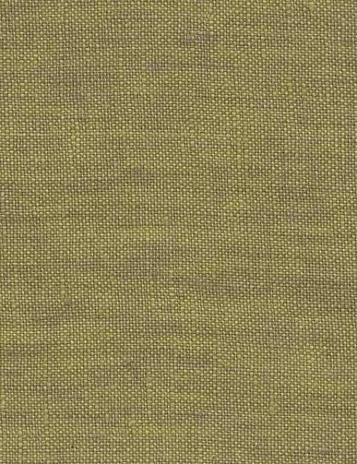 Ткань Pierre Frey Garden Turquoise O7765014