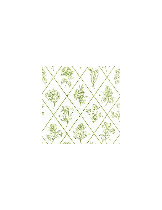 Обои Thibaut Toile Resource II T9762