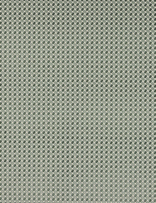 Ткань Manuel Canovas Java M4149/11