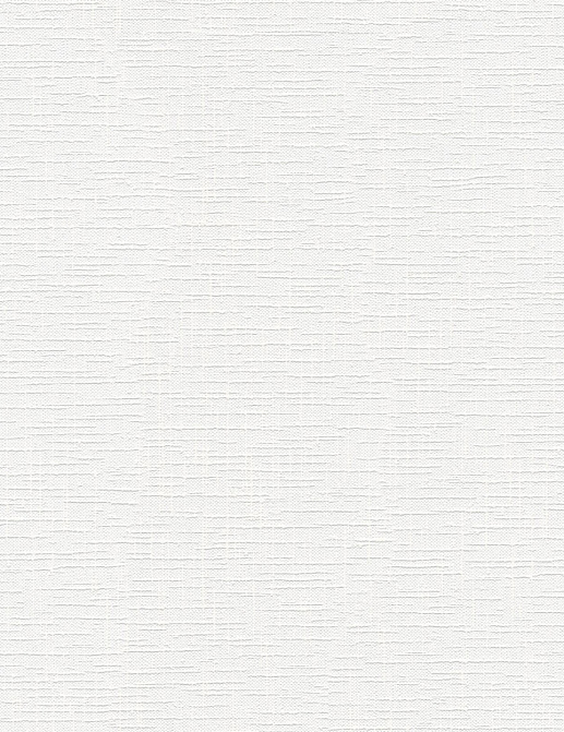 Обои A. S. Creation Meistervlies 2505-13