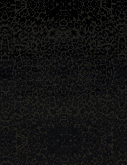 Ткань Christian Lacroix Belles Rives Prints And Weaves FCL050/04