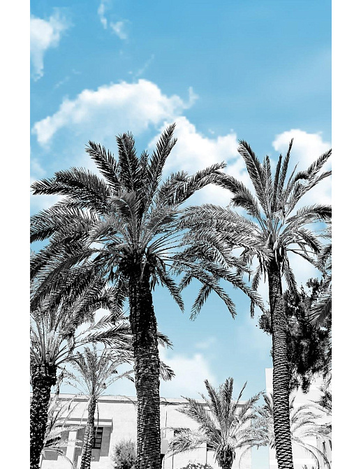 Панно и фотообои Decoprint Good Vibes GVD24301