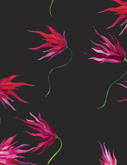 Обои Maison C Wallpaper Collection SKUED003