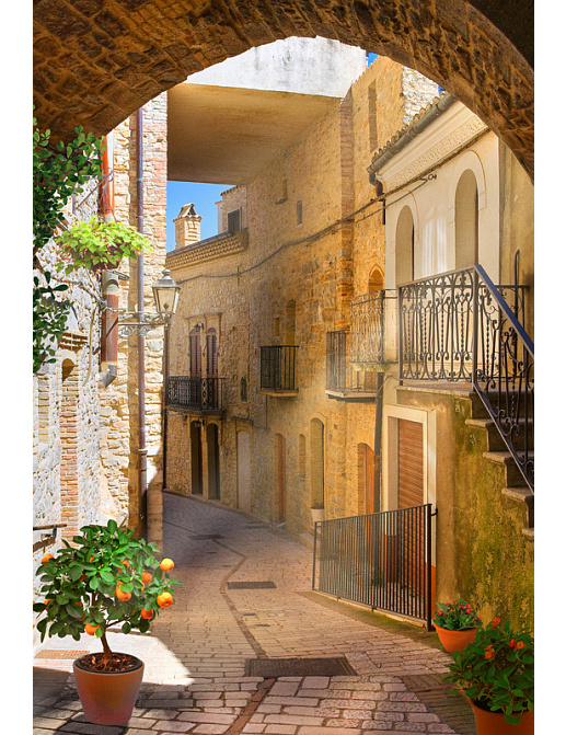 Панно и фотообои Affresco Фрески и фотообои ID10522