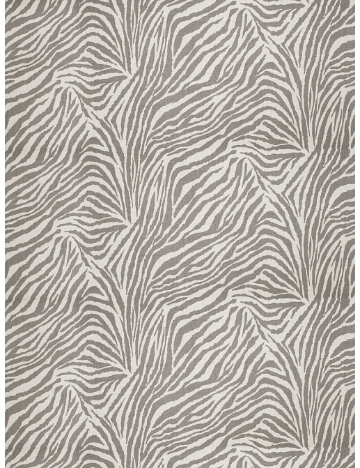 Ткань Fabricut Vignettes Vol.XIII Platinum Hamid zebra/Grey