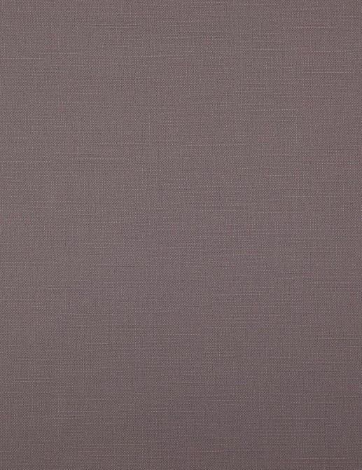 Ткань Daylight Canvas Bonfire/Quartz