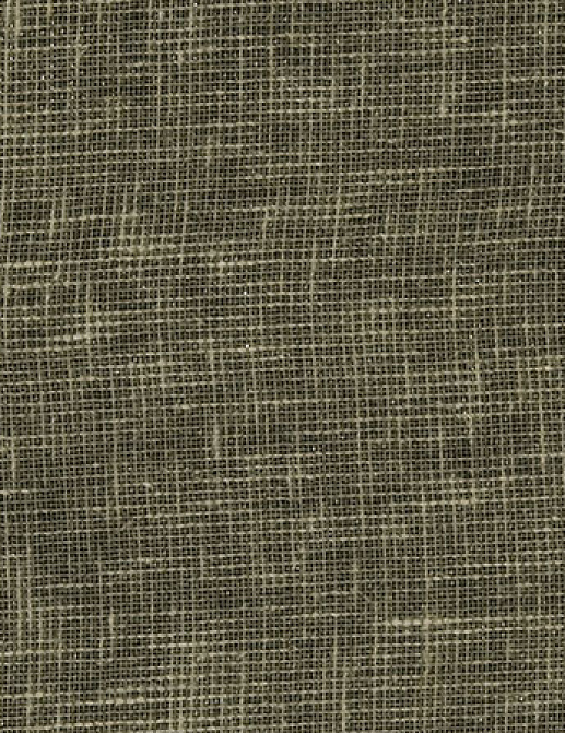 Ткань Designers Guild Bilbao F1561/03