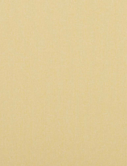 Ткань Baker Lifestyle Notebook Carnival Plain PF50420/814