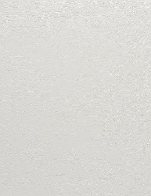 Ткань Holly Hunt Holly Hunt Leather 9250/15
