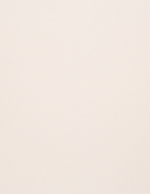 Обои BN International Colour Line 49480