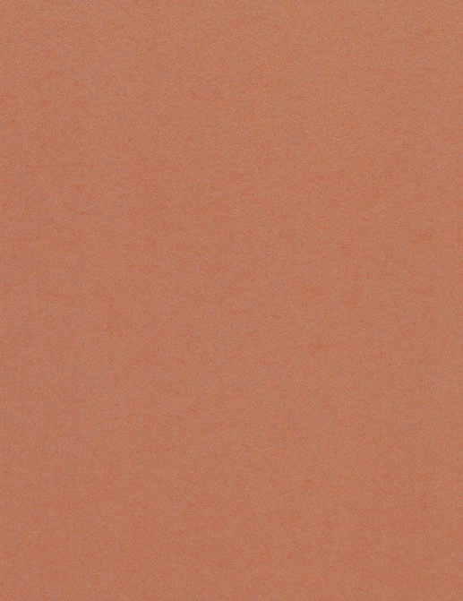 Обои Tenue de Ville Poeme SPI230421