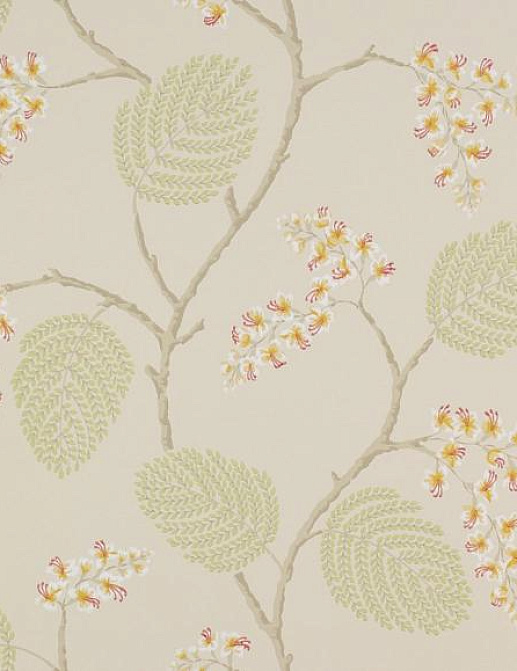Обои Colefax and Fowler Jardine Florals 07141/05
