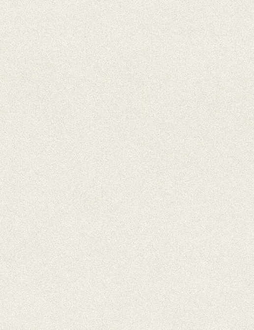 Обои Rasch Passepartout 607239