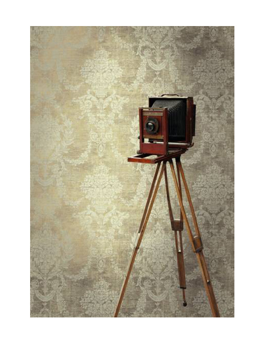 Обои KT-Exclusive Maison Gallerie OL90105